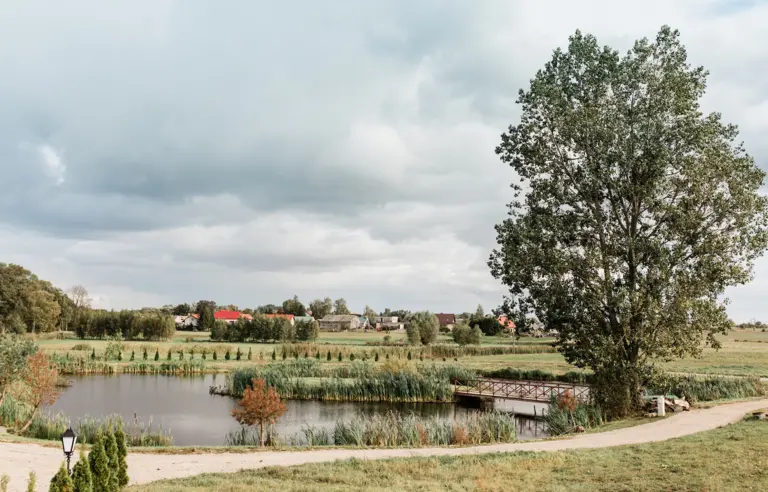 Stare Polaszki 13 teren zielony