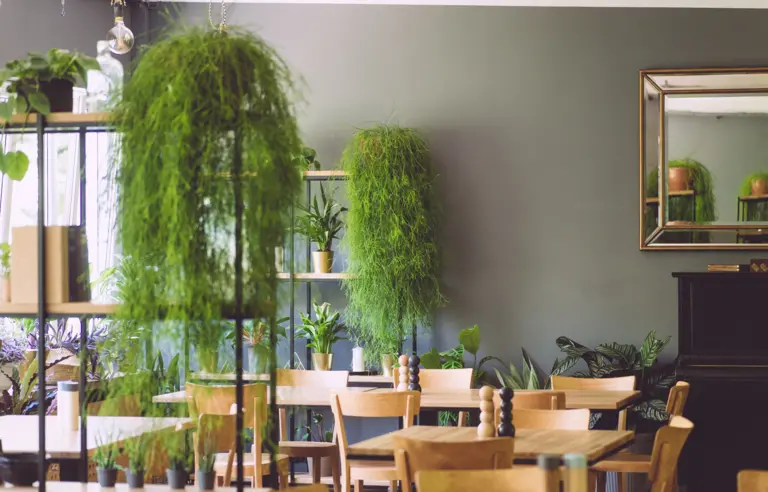 LAS - Lokalna Atrakcja Stolicy Warszawa