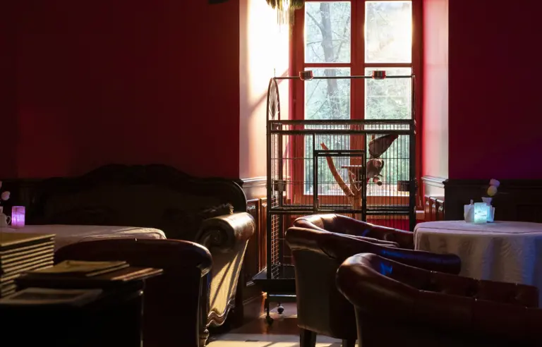 Zamek Dubiecko - photo 1