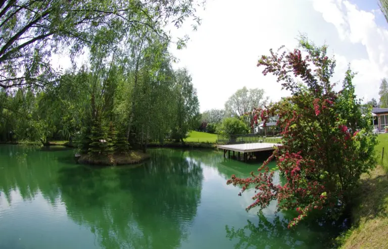 Gongolina Event Garden - zdjęcie 1