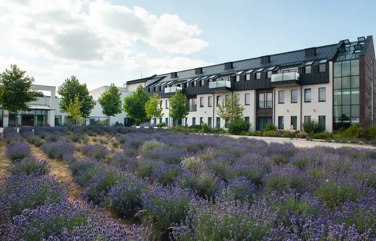 Medical SPA Hotel**** Lawendowe Termy