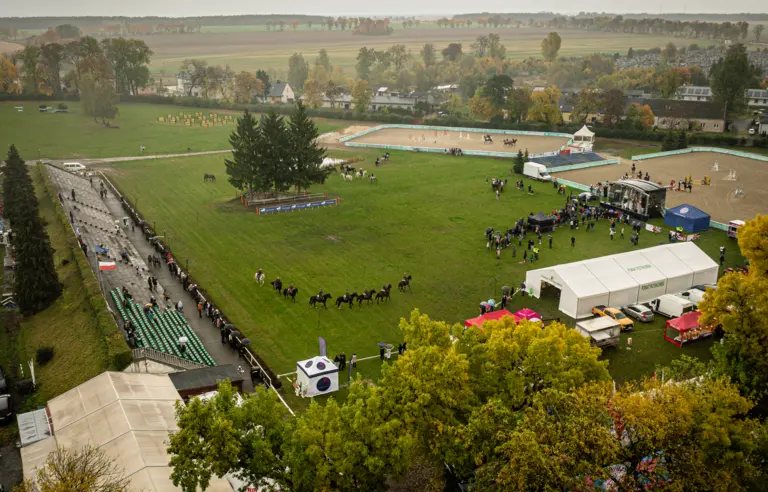 Stado Ogierów w Bogusławicach - zdjęcie 1