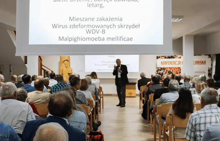 Gospodarstwo Pasieczne  Sądecki Bartnik - zdjęcie 1