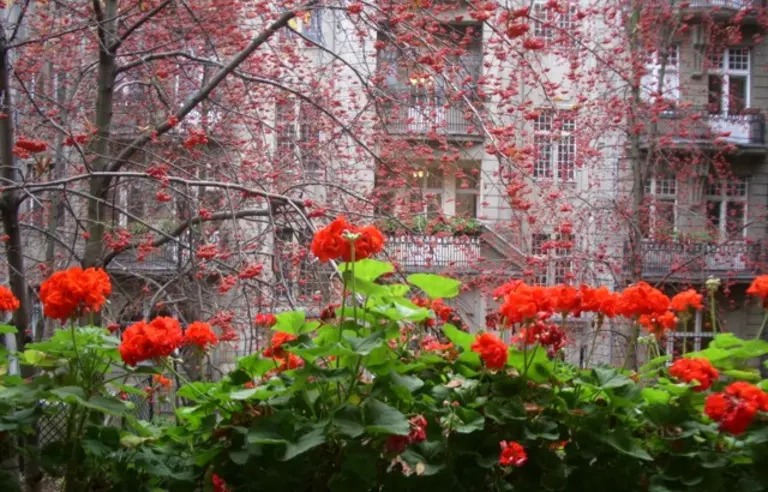 Sala Posiedzeń im. Seweryna Mielżyńskiego Poznańskiego Towarzystwa Przyjaciół Nauk - zdjęcie 1