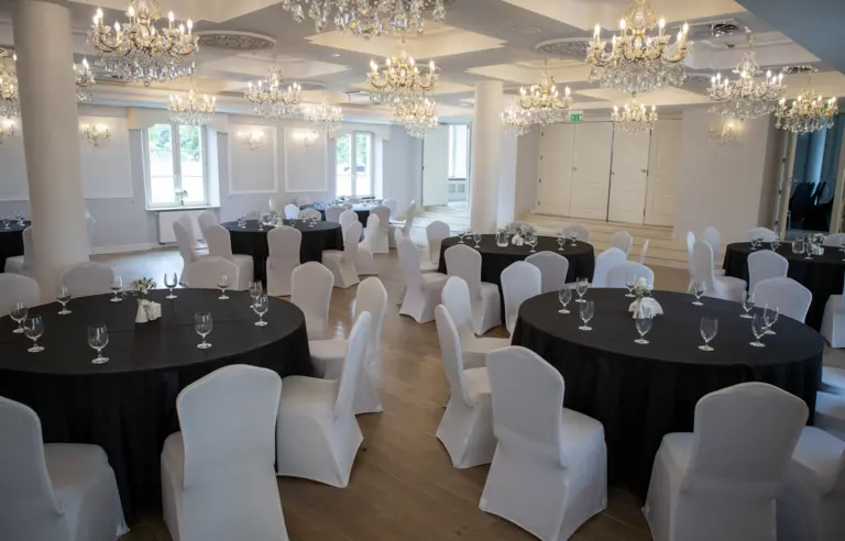 Pałac Domaniowski - zdjęcie 1