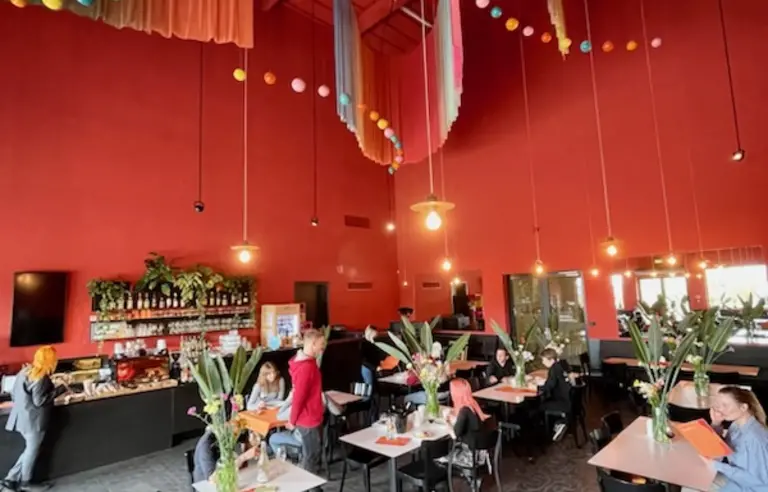 Paloma nad Wisłą - zdjęcie 1