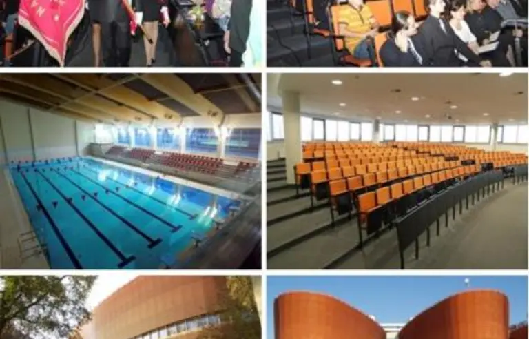 Menedżerska Akademia Nauk Stosowanych (MANS)