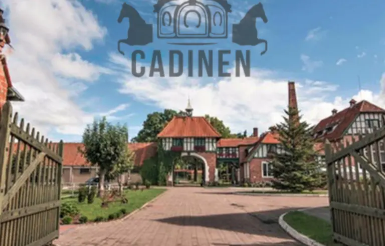 Hotel wraz z zabudowaniami go okalającymi