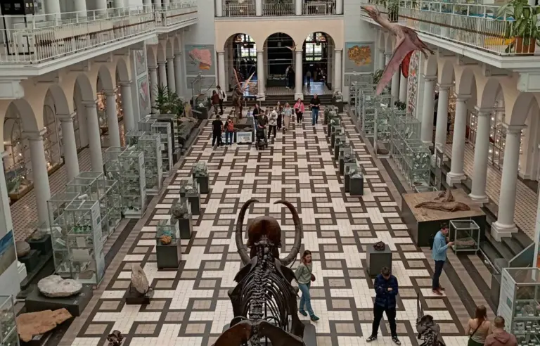 Muzeum Geologiczne Państwowego Instytutu Geologicznego Warszawa