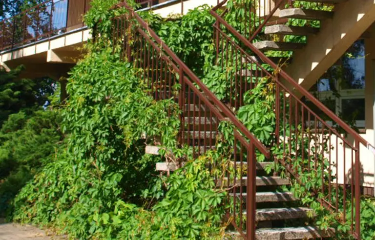 Ośrodek Szkoleniowy Instytutu Rozwoju Słuzb Społecznych Bialobrzegi obiekty szkoleniowe