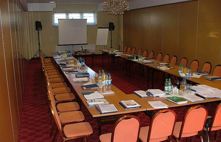 Sala Lilia 100 m kw.