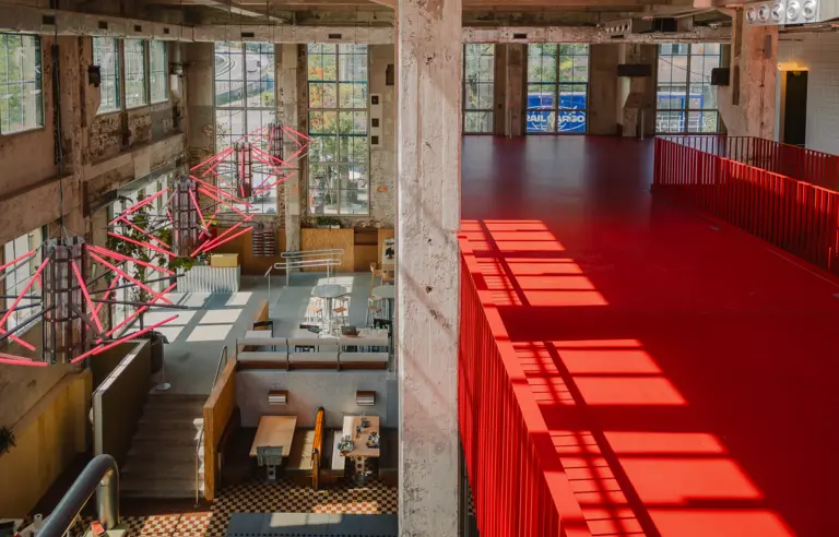 ZEROZERO - zdjęcie 1