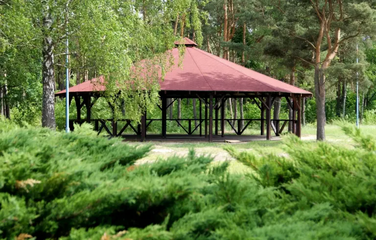 Perła Leśna - photo 1