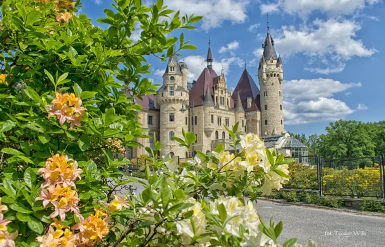 Moszna - Zamek - photo 1