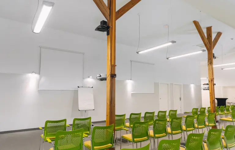 Dwór Kolesin - zdjęcie 1