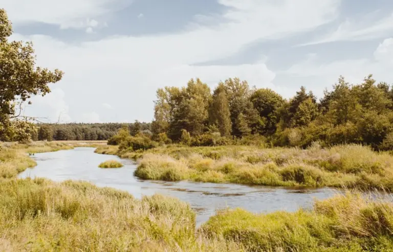 Pałac i Folwark Łochów - photo 1