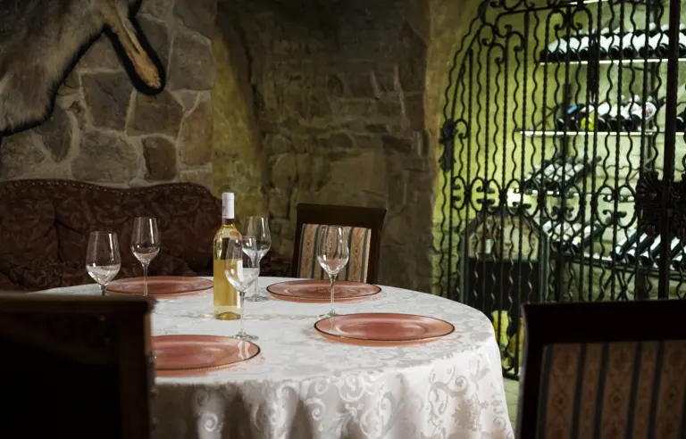 Zamek Dubiecko - photo 1