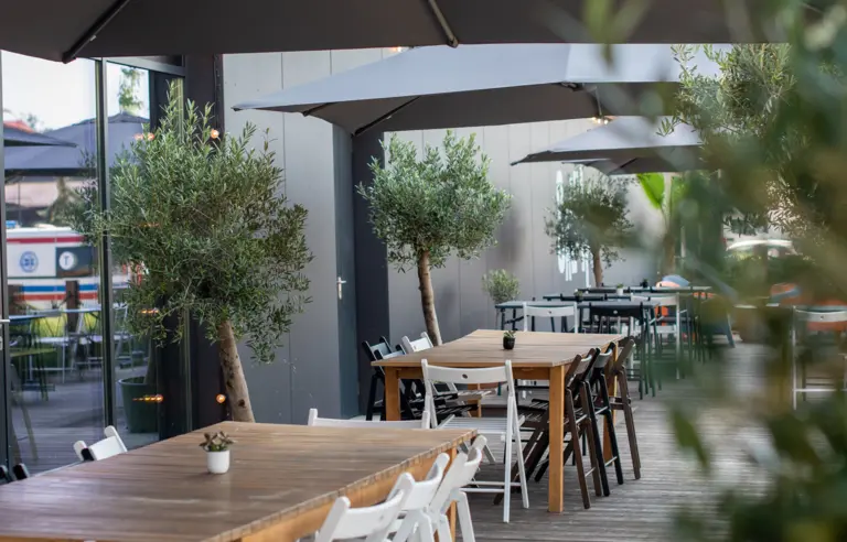 Salute! - zdjęcie 1