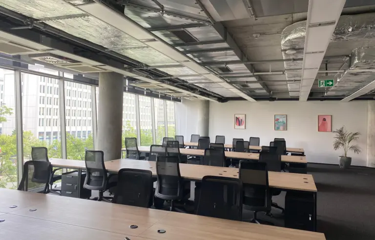 Wolf Marszałkowska - zdjęcie 1