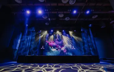 Sala Gimlet, ustawienie koncertowe do 400 osób. Pełne zaplecze techniczne