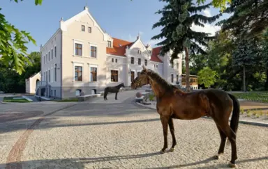 Pałac Mortęgi Hotel & Spa