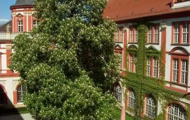 Zakład Narodowy im. Ossolińskich Wrocław konferencje