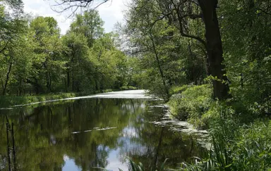 Biały Pałac Palczew - zdjęcie 5