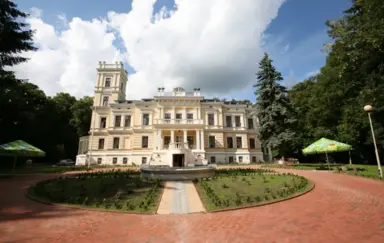 Pałac Biedrusko - zespół pałacowo-parkowy - zdjęcie 3