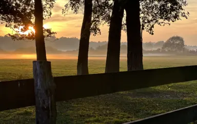 Dwór w Zgniłym Błocie - photo 4