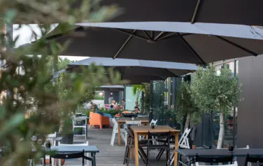 Salute! - zdjęcie 2