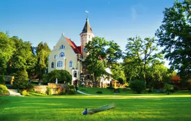 bursztynowy palac Świeszyno szkolenia