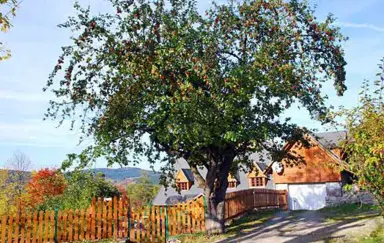 Teatr Nasz - photo 4