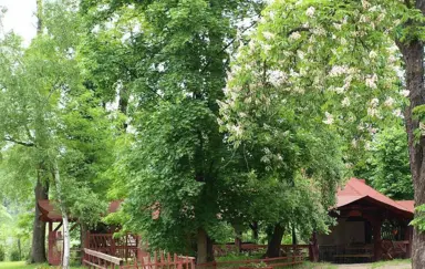 Hotel Willa Park - zdjęcie 3