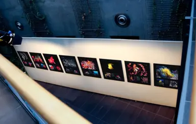 ATM Scena na Bielanach Bielany Wroclawskie