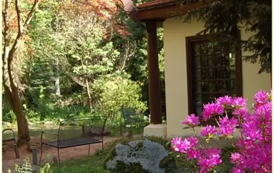 Ogród Dendrologiczny w Przelewicach - zdjęcie 3