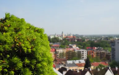 Hotel Victoria Lublin - photo 4