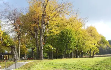 Pałac Kotulińskich - OBIEKT ZAMKNIĘTY - zdjęcie 2