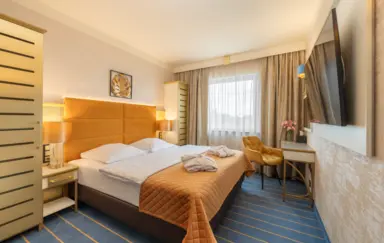 Park Hotel Diament Katowice - zdjęcie 5