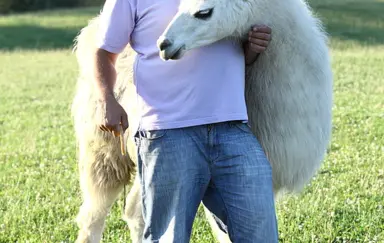 Ośrodek Mazurski Okrągłe - photo 5