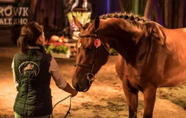 Pałac Baborówko Szamotuly