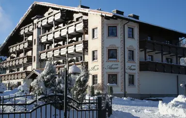 Hotel Alpejski - photo 4