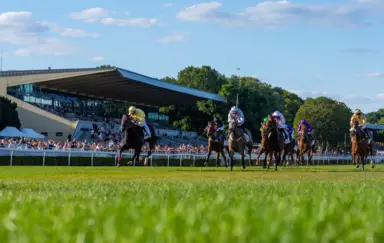 Tor Wyścigów Konnych Służewiec - photo 5