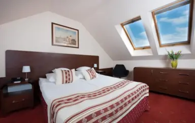 Hotel Żubrówka Białowieża - photo 4