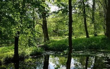 Biały Pałac Palczew - zdjęcie 4