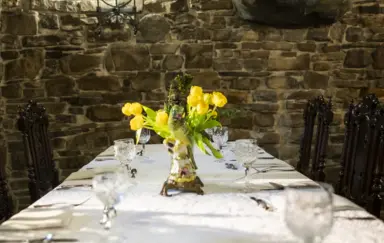 Zamek Dubiecko - photo 4