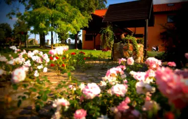 Villa Natura - zdjęcie 2