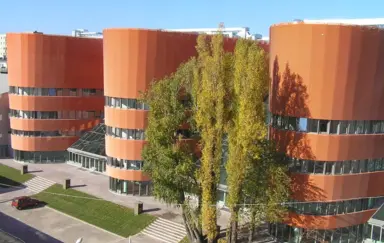 Menedżerska Akademia Nauk Stosowanych (MANS)