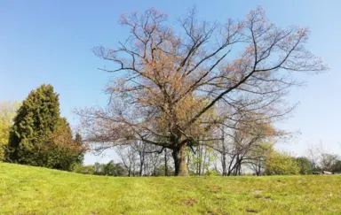 Hotel Wielspin - zdjęcie 5