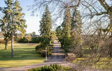 Pałac Ślężany - photo 3