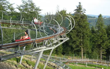 Roller Coaster